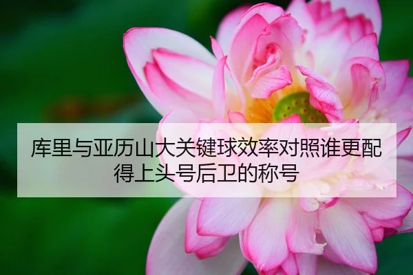 库里与亚历山大关键球效率对照谁更配得上头号后卫的称号