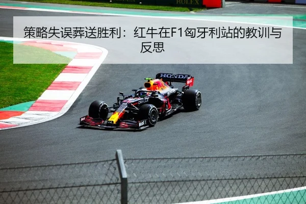 策略失误葬送胜利：红牛在F1匈牙利站的教训与反思