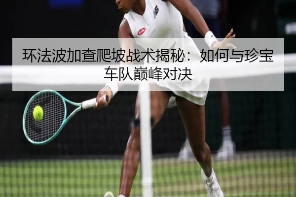 环法波加查爬坡战术揭秘：如何与珍宝车队巅峰对决