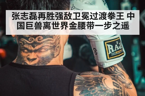 张志磊再胜强敌卫冕过渡拳王 中国巨兽离世界金腰带一步之遥